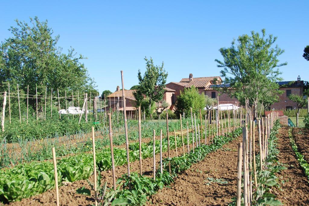Agriturismo Le Torri Di Porsenna Petrignano Del Lago Luaran gambar